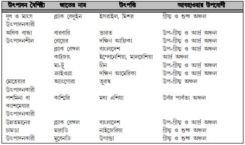 ছাগলের জাত ও বৈশিষ্ট্য 4 ছাগলের জাত ও বৈশিষ্ট্য