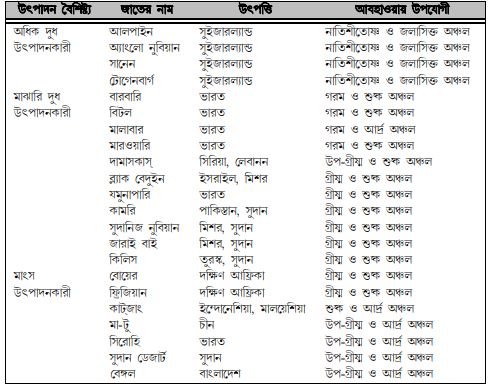 ছাগলের জাত ও বৈশিষ্ট্য 3 ছাগলের জাত ও বৈশিষ্ট্য