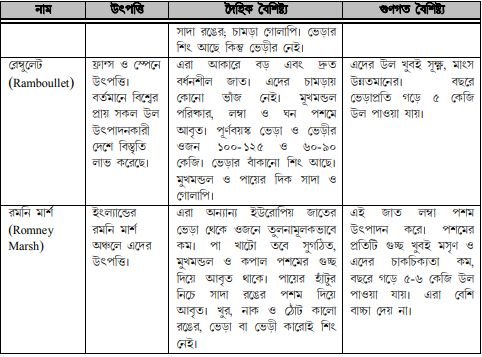 ভেড়ার জাত ও বৈশিষ্ট্য 5 ভেড়ার জাত ও বৈশিষ্ট্য