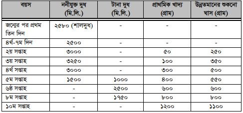 মহিষের খাদ্য 2 মহিষের খাদ্য