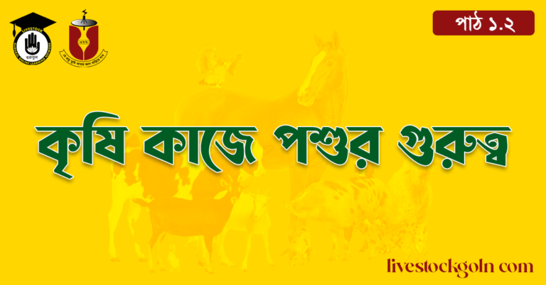 কৃষি কাজে পশুর গুরুত্ব
