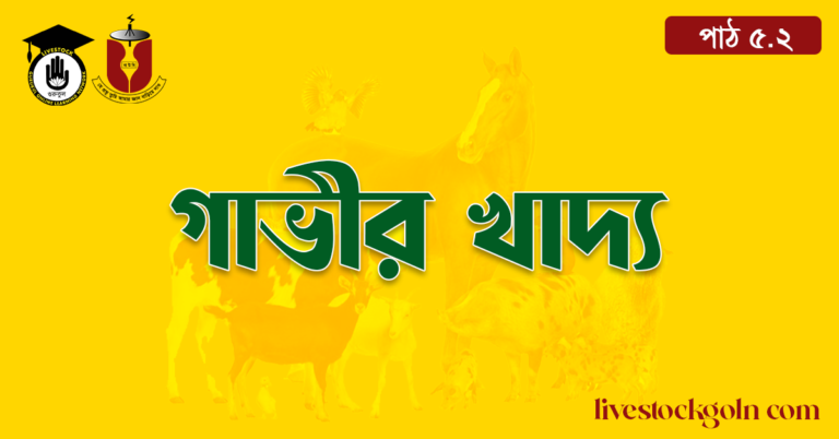 গাভীর খাদ্য