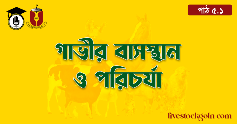 গাভীর বাসস্থান ও পরিচর্যা