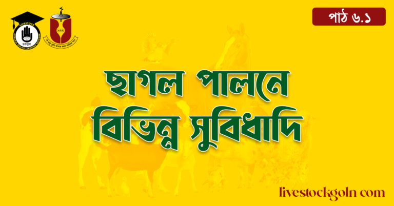 ছাগল পালনে বিভিন্ন সুবিধাদি
