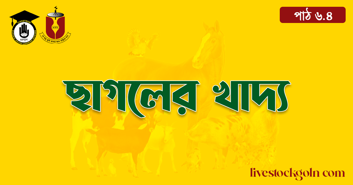 ছাগলের খাদ্য