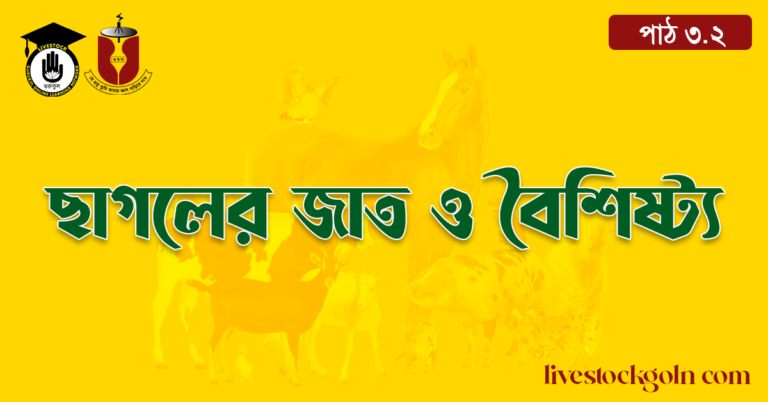 ছাগলের জাত ও বৈশিষ্ট্য