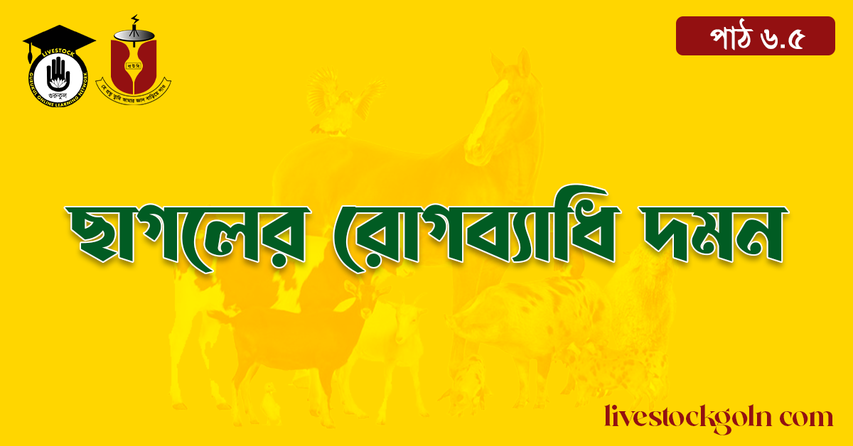 ছাগলের রোগব্যাধি দমন