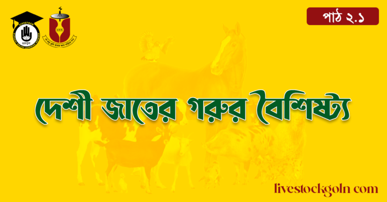 দেশী জাতের গরুর বৈশিষ্ট্য