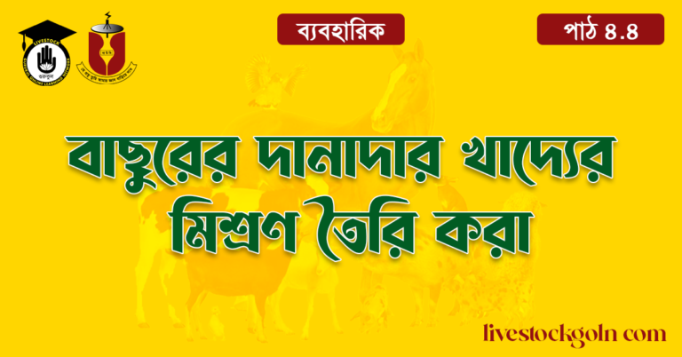 বাছুরের দানাদার খাদ্যের মিশ্রণ তৈরি করা