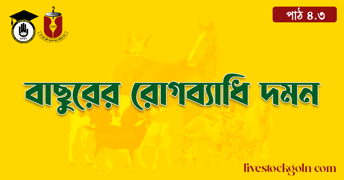 বাছুরের রোগব্যাধি দমন