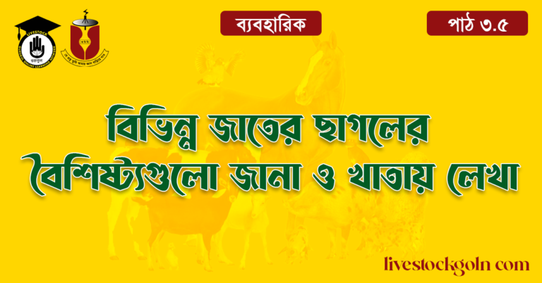 বিভিন্ন জাতের ছাগলের বৈশিষ্ট্যগুলো জানা ও খাতায় লেখা