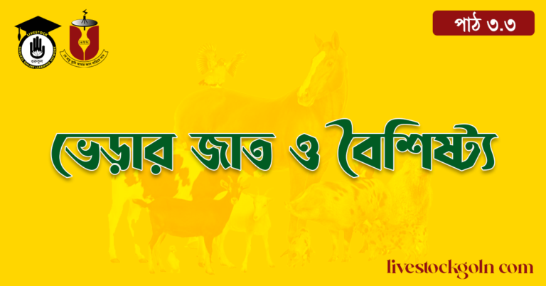 ভেড়ার জাত ও বৈশিষ্ট্য