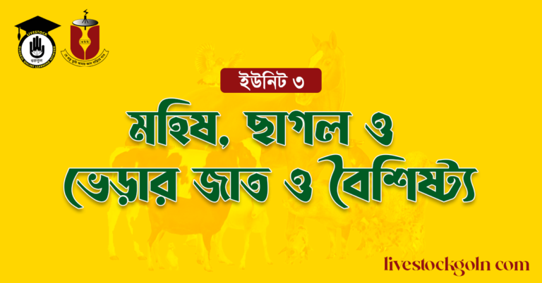 মহিষ, ছাগল ও ভেড়ার জাত ও বৈশিষ্ট্য