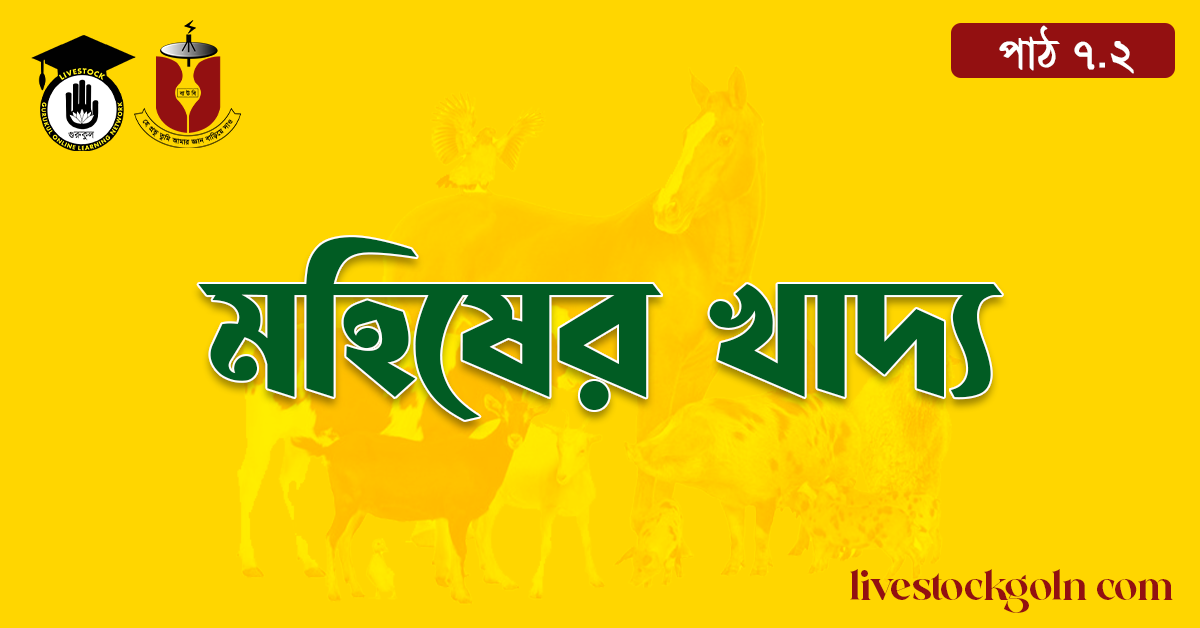 মহিষের খাদ্য 1 মহিষের খাদ্য