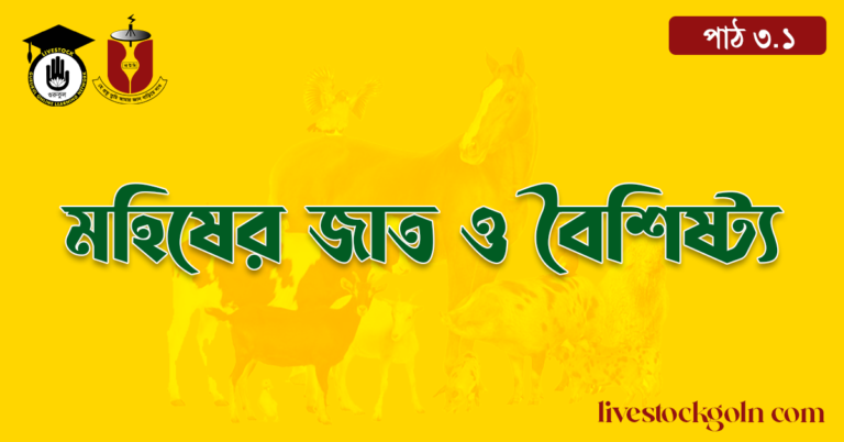 মহিষের জাত ও বৈশিষ্ট্য