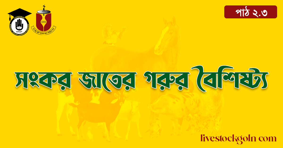 সংকর জাতের গরুর বৈশিষ্ট্য 1 সংকর জাতের গরুর বৈশিষ্ট্য