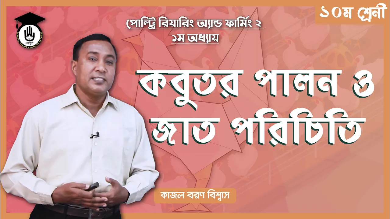 কবুতর পালন ও কবুতরের জাত কবুতর পালন ও কবুতরের জাত | পোল্ট্রি রিয়ারিং অ্যান্ড ফার্মিং ২