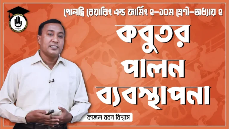 কবুতর পালন ব্যবস্থাপনা কবুতর পালন ব্যবস্থাপনা | পোল্ট্রি রিয়ারিং অ্যান্ড ফার্মিং