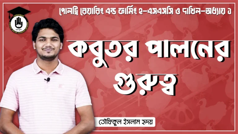 কবুতর পালনের গুরুত্ব কবুতর পালনের গুরুত্ব | পোল্ট্রি রিয়ারিং অ্যান্ড ফার্মিং