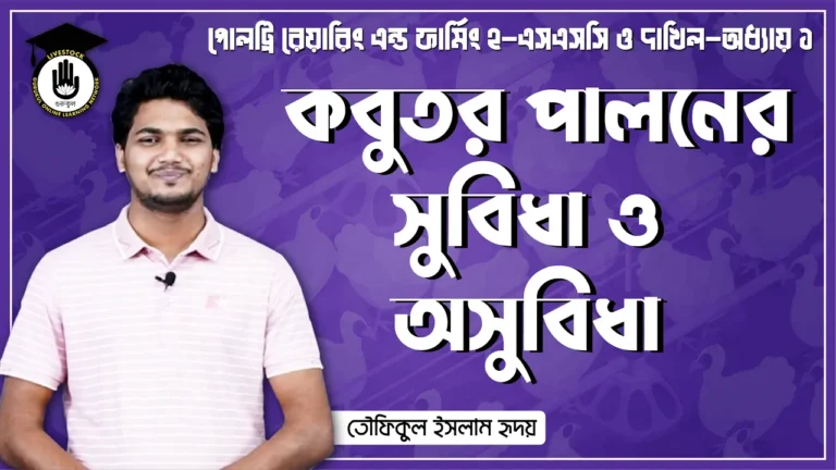 কবুতর পালনের সুবিধা কবুতর পালনের সুবিধা ও অসুবিধা | পোল্ট্রি রিয়ারিং অ্যান্ড ফার্মিং