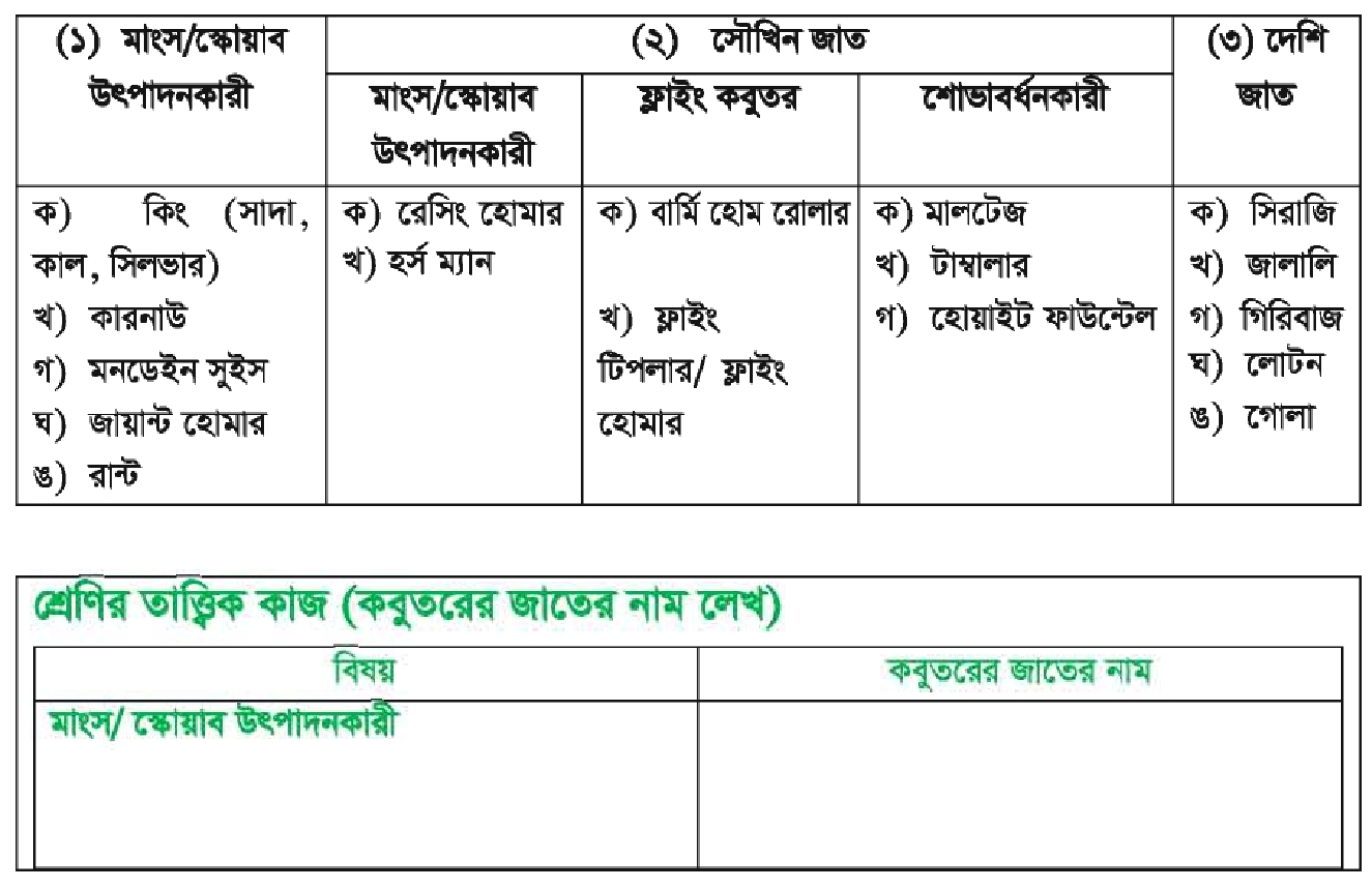 কবুতরের জাতসমূহ | পোল্ট্রি রিয়ারিং অ্যান্ড ফার্মিং 3 কবুতরের জাত কবুতরের জাতসমূহ | পোল্ট্রি রিয়ারিং অ্যান্ড ফার্মিং