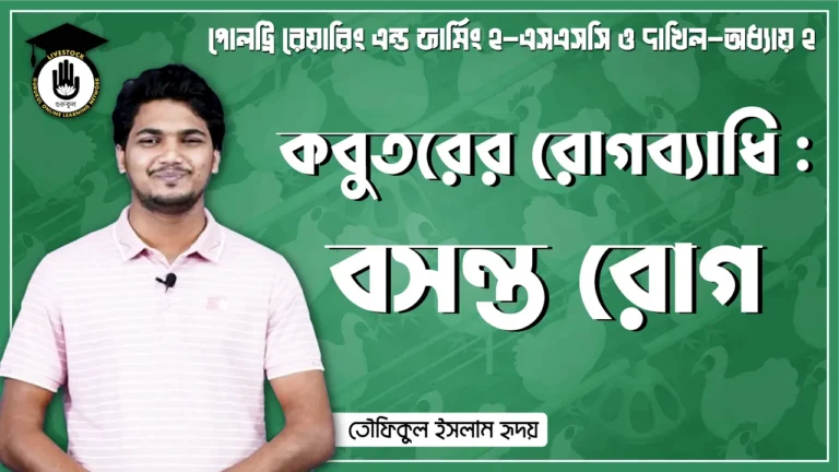 কবুতরের বসন্ত রোগ কবুতরের বসন্ত রোগ | পোল্ট্রি রিয়ারিং অ্যান্ড ফার্মিং
