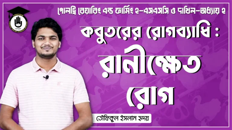 কবুতরের রানীক্ষেত রোগ কবুতরের রানীক্ষেত রোগ | পোল্ট্রি রিয়ারিং অ্যান্ড ফার্মিং