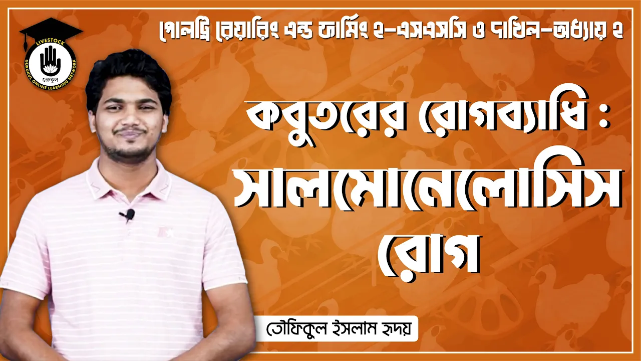 কবুতরের সালমোনেলোসিস রোগ | পোল্ট্রি রিয়ারিং অ্যান্ড ফার্মিং 1 কবুতরের সালমোনেলোসিস রোগ কবুতরের সালমোনেলোসিস রোগ | পোল্ট্রি রিয়ারিং অ্যান্ড ফার্মিং