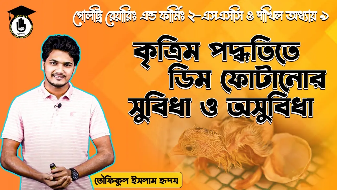 কৃত্রিম পদ্ধতিতে ডিম কৃত্রিম পদ্ধতিতে ডিম ফোটানোর সুবিধা ও অসুবিধা | পোলট্রি রেয়ারিং এন্ড ফার্মিং