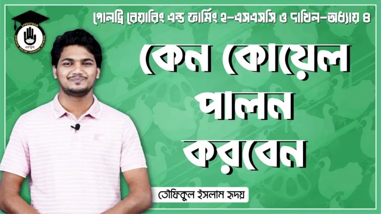 কেন কোয়েল পালন করবেন কেন কোয়েল পালন করবেন | পোলট্রি রেয়ারিং এন্ড ফার্মিং