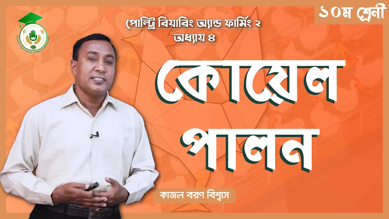 কোয়েল পাখি পালন কোয়েল পাখি পালন | পোল্ট্রি রিয়ারিং অ্যান্ড ফার্মিং