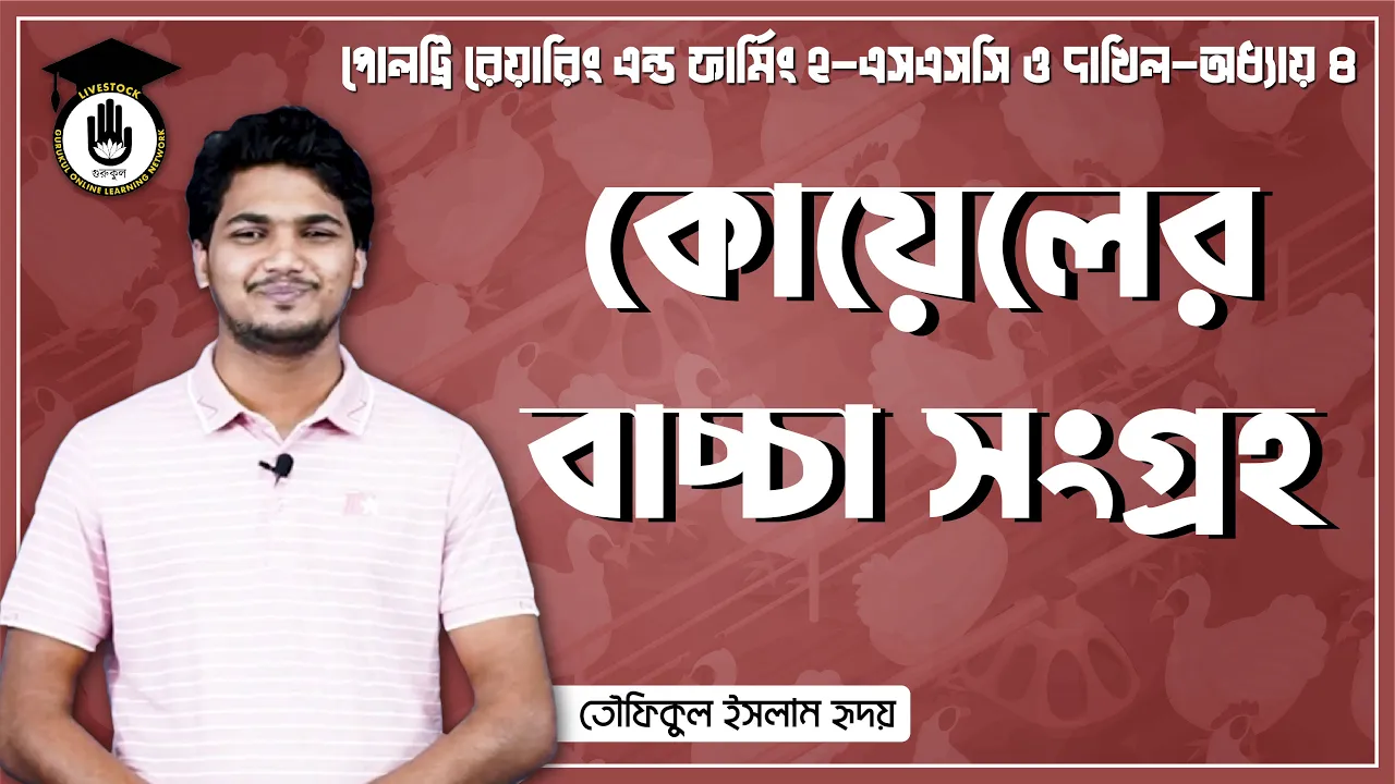 কোয়েলের বাচ্চা সংগ্রহ কোয়েলের বাচ্চা সংগ্রহ | পোলট্রি রেয়ারিং এন্ড ফার্মিং