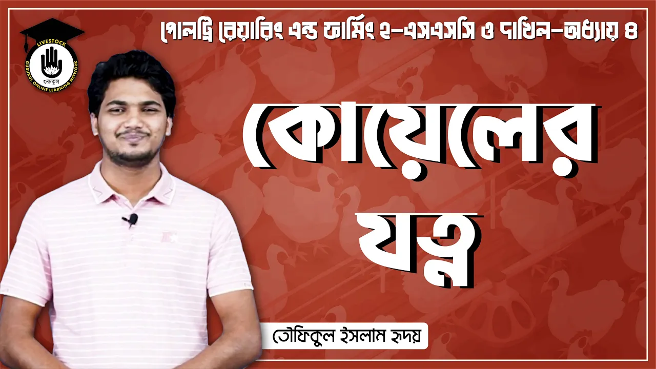 কোয়েলের যত্ন কোয়েলের যত্ন | পোলট্রি রেয়ারিং এন্ড ফার্মিং