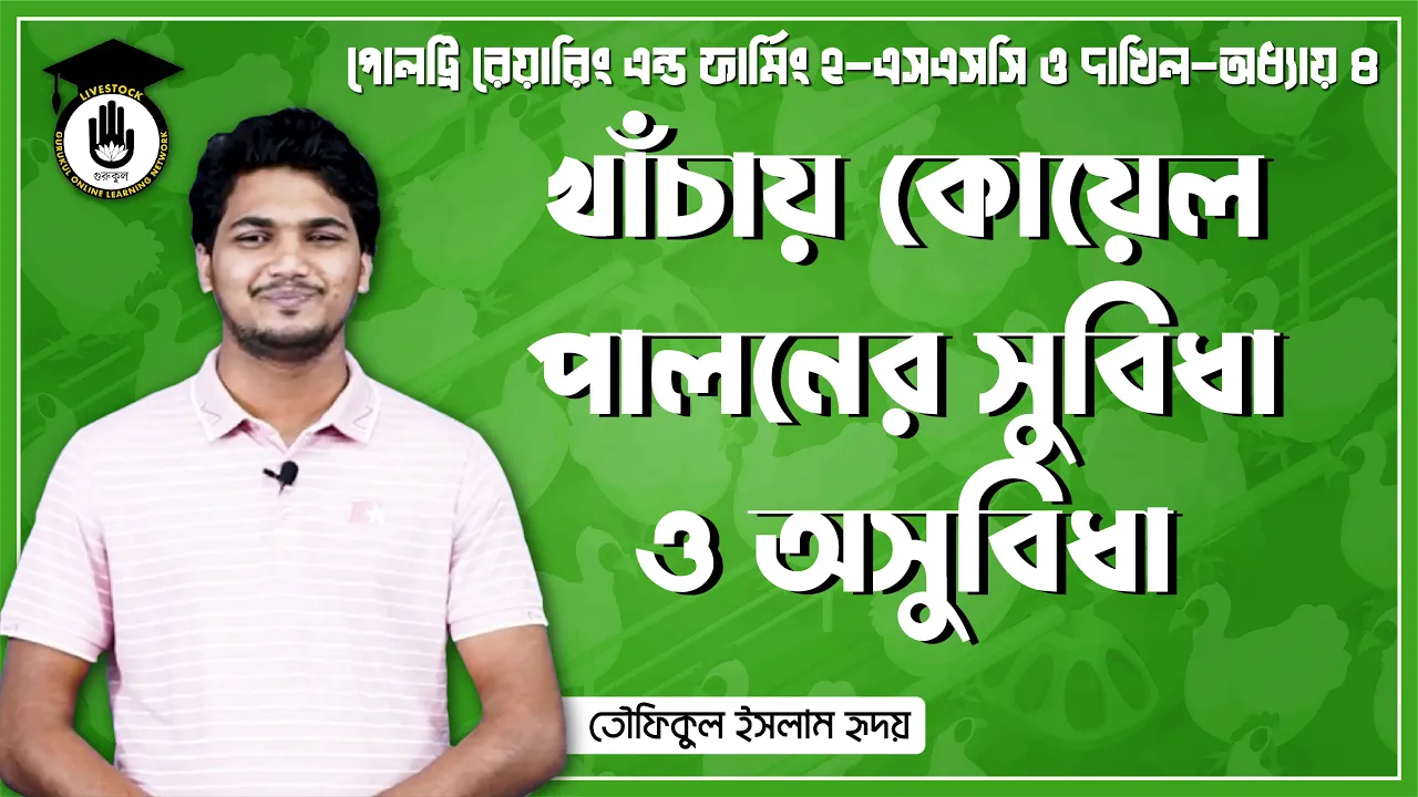 খাঁচায় কোয়েল পালনের খাঁচায় কোয়েল পালনের সুবিধা ও অসুবিধা | পোলট্রি রেয়ারিং এন্ড ফার্মিং