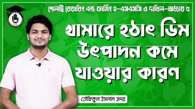 খামারে হঠাৎ ডিম উৎপাদন খামারে হঠাৎ ডিম উৎপাদন কমে যাওয়ার কারণ | পোলট্রি রেয়ারিং এন্ড ফার্মিং
