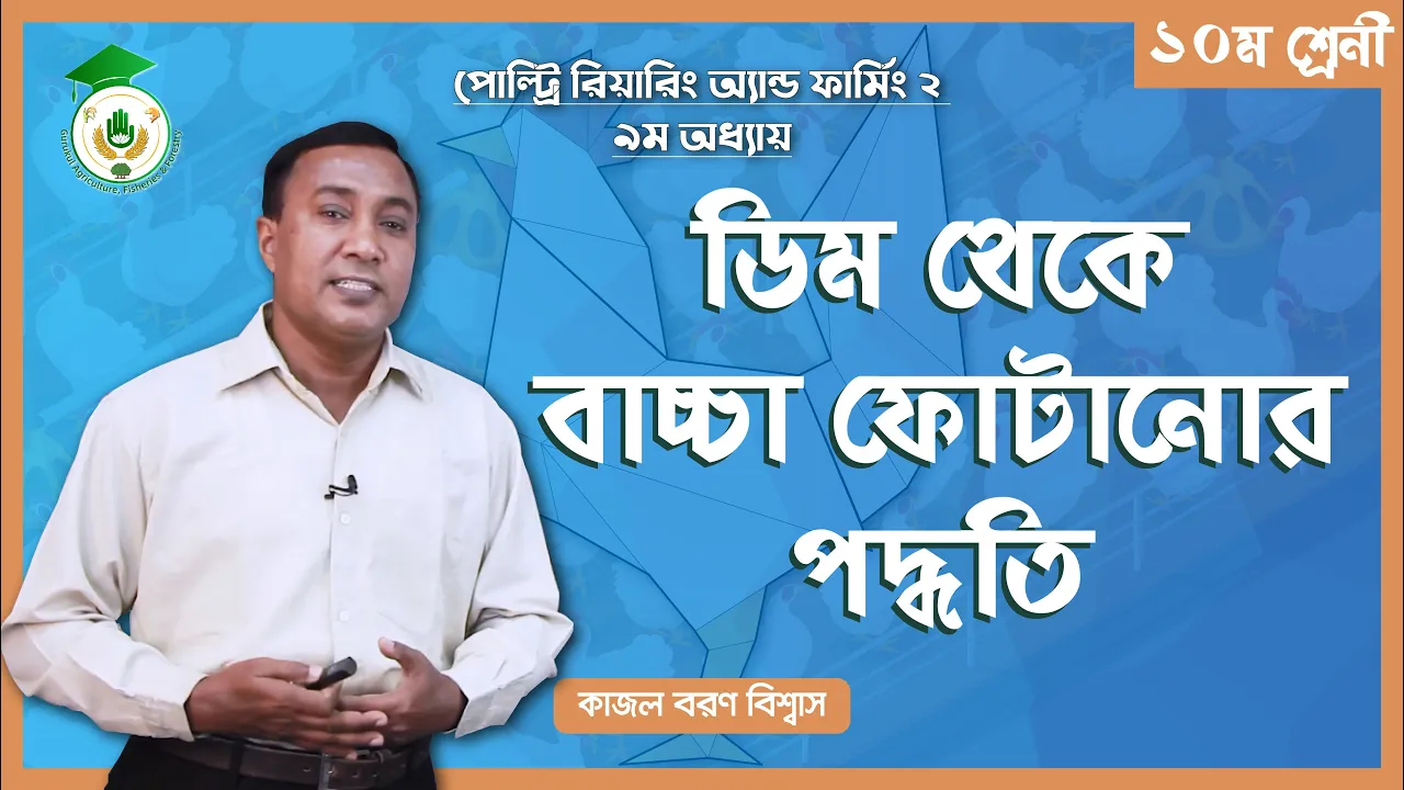 ডিম থেকে বাচ্চা ডিম থেকে বাচ্চা ফুটানোর পদ্ধতি | পোল্ট্রি রিয়ারিং অ্যান্ড ফার্মিং