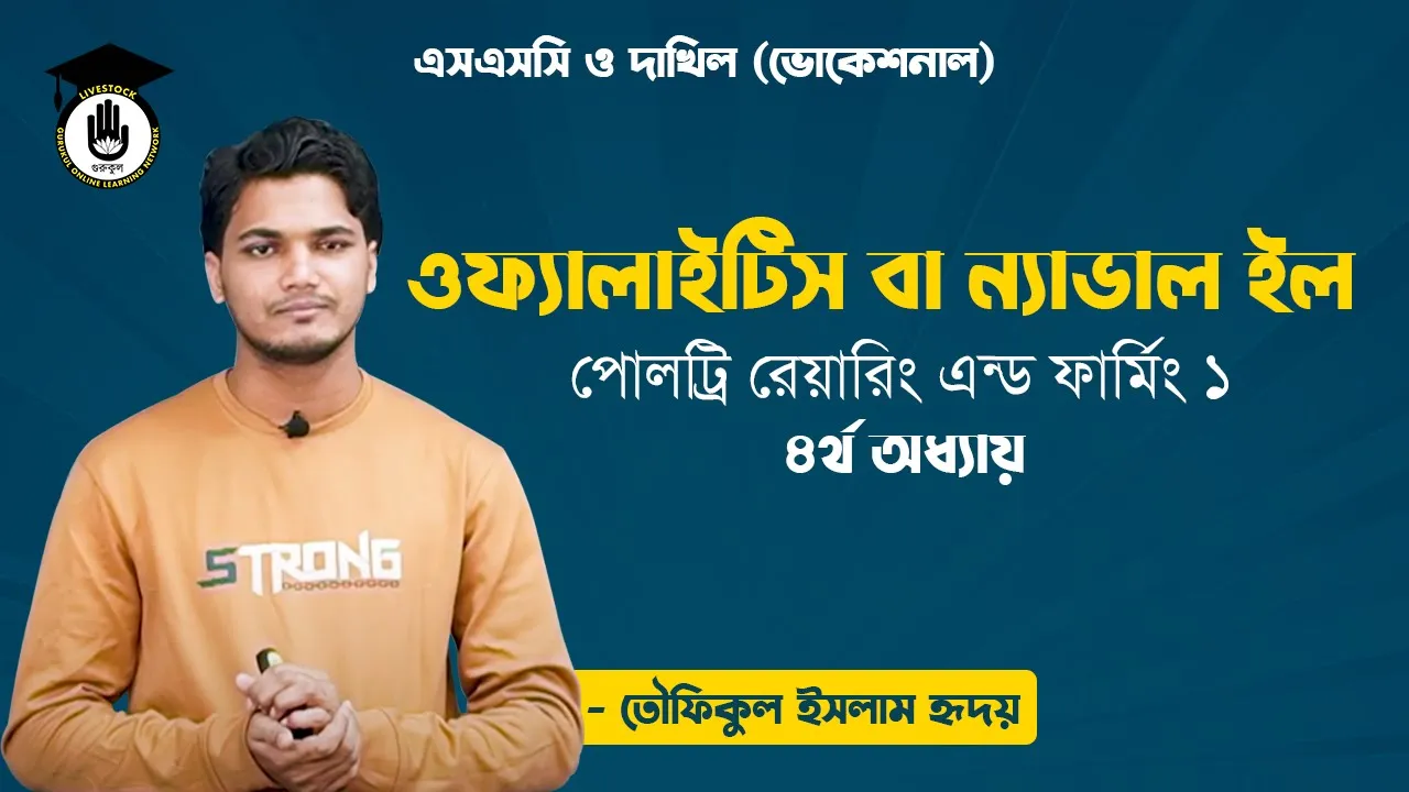 ন্যাভাল ইল ওফ্যালাইটিস বা ন্যাভাল ইল | পোলট্রি রেয়ারিং এন্ড ফার্মিং
