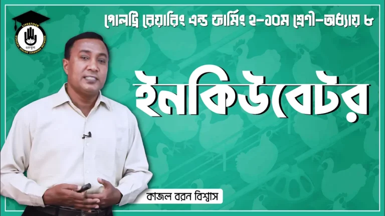 পোল্ট্রি রিয়ারিং অ্যান্ড ফার্মিং ইনকিউবেটর এর ধারণা | পোল্ট্রি রিয়ারিং অ্যান্ড ফার্মিং