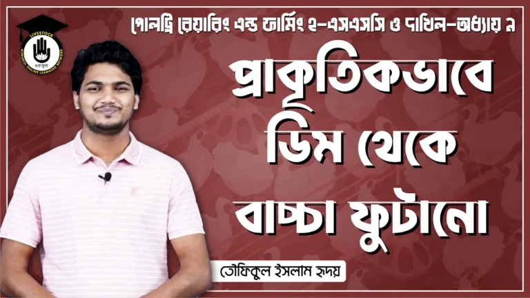 প্রাকৃতিকভাবে ডিম প্রাকৃতিকভাবে ডিম থেকে বাচ্চা ফুটানো | পোলট্রি রেয়ারিং এন্ড ফার্মিং