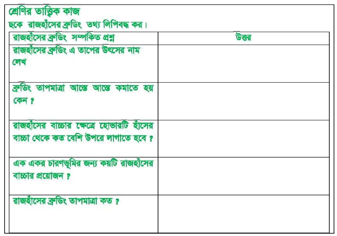 রাজহাঁস পালন