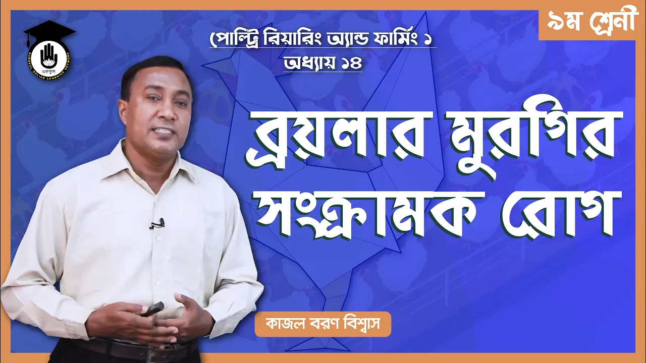 ব্রয়লার মুরগির সংক্রামক রোগ ব্রয়লার মুরগির সংক্রামক রোগ | পোল্ট্রি রিয়ারিং অ্যান্ড ফার্মিং ১