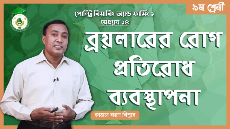ব্রয়লারের রোগ প্রতিরোধ ব্রয়লারের রোগ প্রতিরোধ ব্যবস্থাপনা | পোল্ট্রি রিয়ারিং অ্যান্ড ফার্মিং