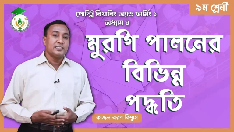 মুরগি পালনের বিভিন্ন মুরগি পালনের বিভিন্ন পদ্ধতি | পোল্ট্রি রিয়ারিং অ্যান্ড ফার্মিং