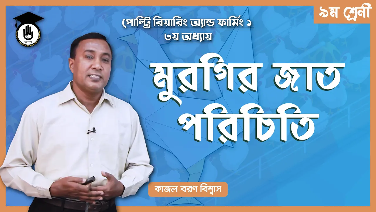 মুরগির জাত পরিচিতি মুরগির জাত পরিচিতি | পোল্ট্রি রিয়ারিং অ্যান্ড ফার্মিং ১