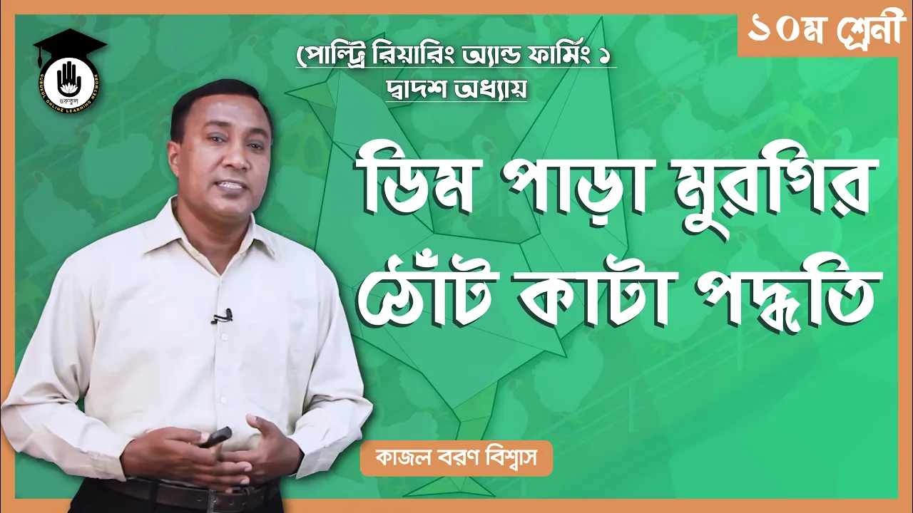 মুরগির ঠোঁট কাটার পদ্ধতি | পোল্ট্রি রিয়ারিং অ্যান্ড ফার্মিং ১ 1 মুরগির ঠোঁট কাটার পদ্ধতি মুরগির ঠোঁট কাটার পদ্ধতি | পোল্ট্রি রিয়ারিং অ্যান্ড ফার্মিং ১