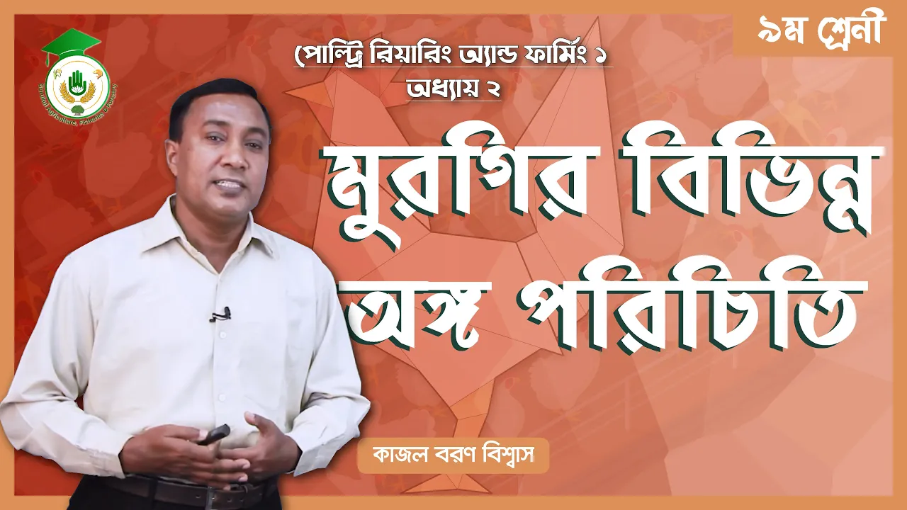 মুরগির বিভিন্ন অঙ্গ পরিচিতি | পোল্ট্রি রিয়ারিং অ্যান্ড ফার্মিং 1 মুরগির বিভিন্ন অঙ্গ পরিচিতি মুরগির বিভিন্ন অঙ্গ পরিচিতি | পোল্ট্রি রিয়ারিং অ্যান্ড ফার্মিং