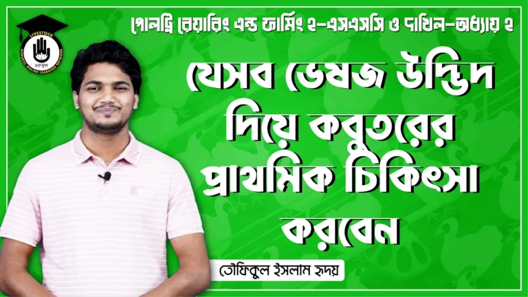 যেসব ভেষজ উদ্ভিদ দিয়ে কবুতরের প্রাথমিক চিকিৎসা করবেন যেসব ভেষজ উদ্ভিদ দিয়ে কবুতরের প্রাথমিক চিকিৎসা করবেন