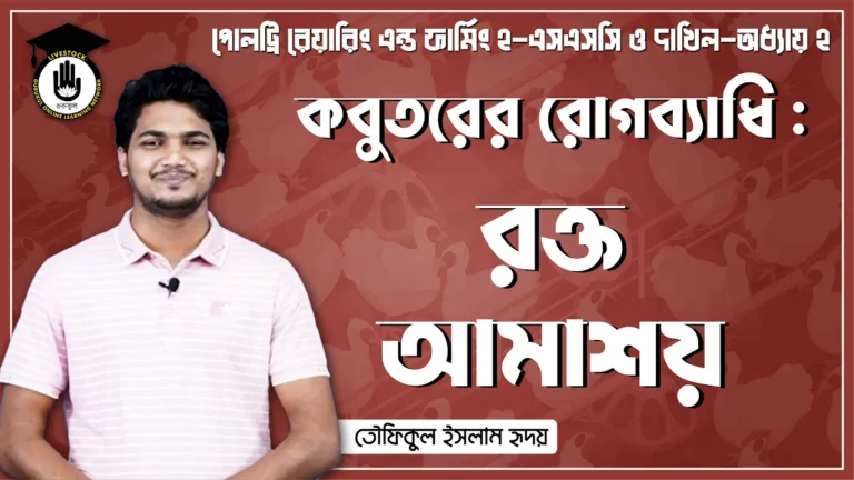 রক্ত আমাশয় কবুতরের রক্ত আমাশয় | পোল্ট্রি রিয়ারিং অ্যান্ড ফার্মিং