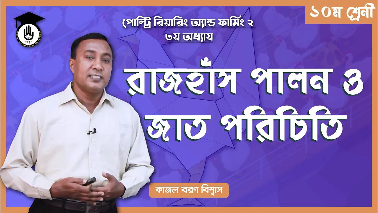 রাজহাঁস পালন রাজহাঁস পালন ও রাজহাঁসের জাত পরিচিতি | পোল্ট্রি রিয়ারিং অ্যান্ড ফার্মিং