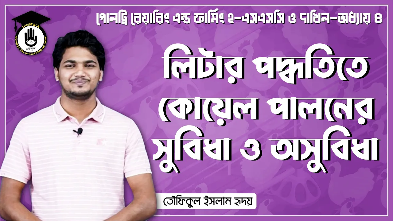লিটার পদ্ধতিতে কোয়েল লিটার পদ্ধতিতে কোয়েল পালনের সুবিধা/অসুবিধা | পোলট্রি রেয়ারিং এন্ড ফার্মিং